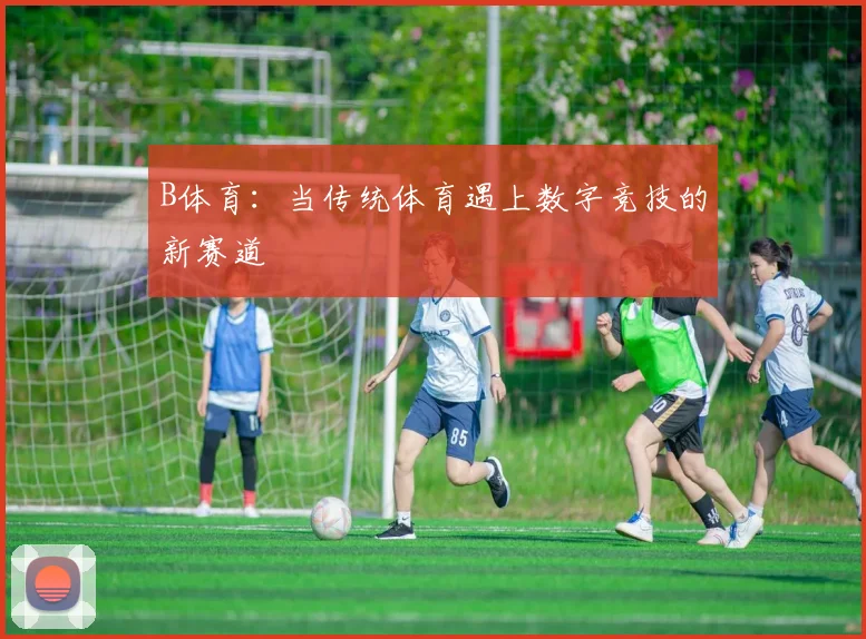 B体育：当传统体育遇上数字竞技的新赛道
