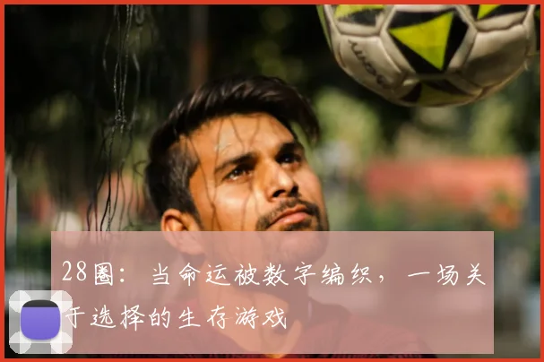 28圈：当命运被数字编织，一场关于选择的生存游戏